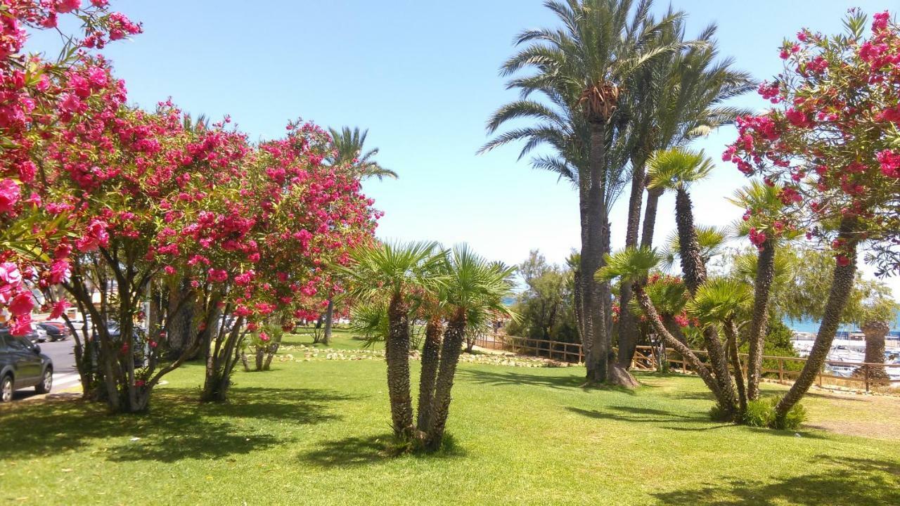Apartamento "Paula" Cabo Roig Exteriör bild